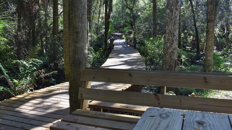 A scenic wooden boardwalk trail winding through the dense green nature preserve at Turkey Creek Sanctuary in Palm Bay, Florida.